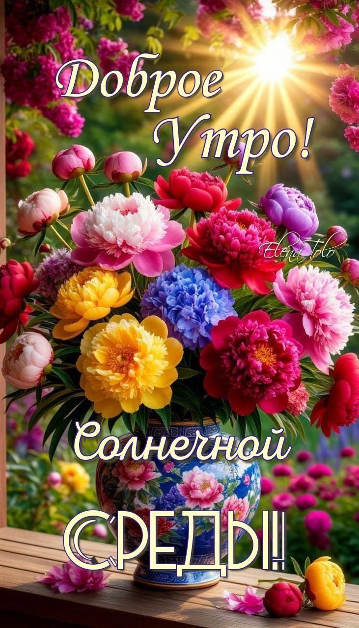 Доброе Утро! Солнечной СРЕДЫ!!