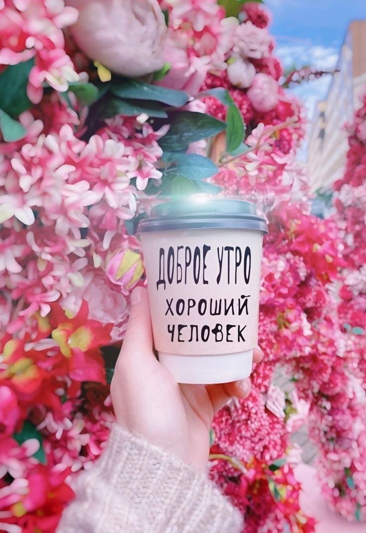 ДОБРОЕ УТРО ХОРОШИЙ ЧЕЛОВЕК