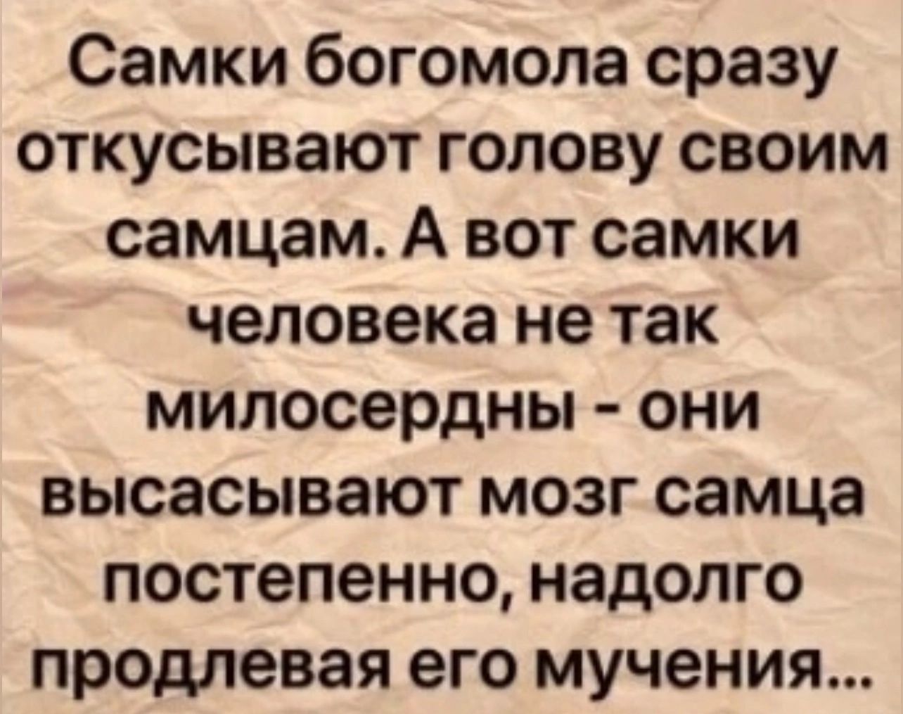 Самки богомола сразу откусывают голову своим самцам. А вот самки человека не так милосердны - они высасывают мозг самца постепенно, надолго prolonga его мучения...