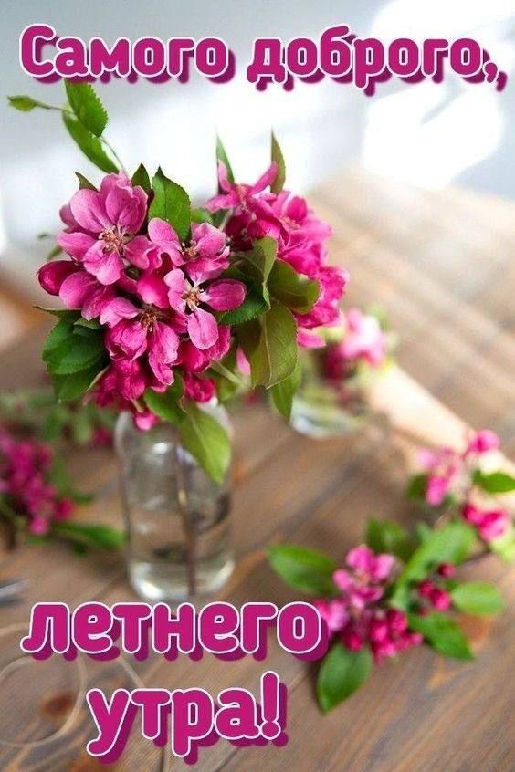 Самого доброго, летнего утра!
