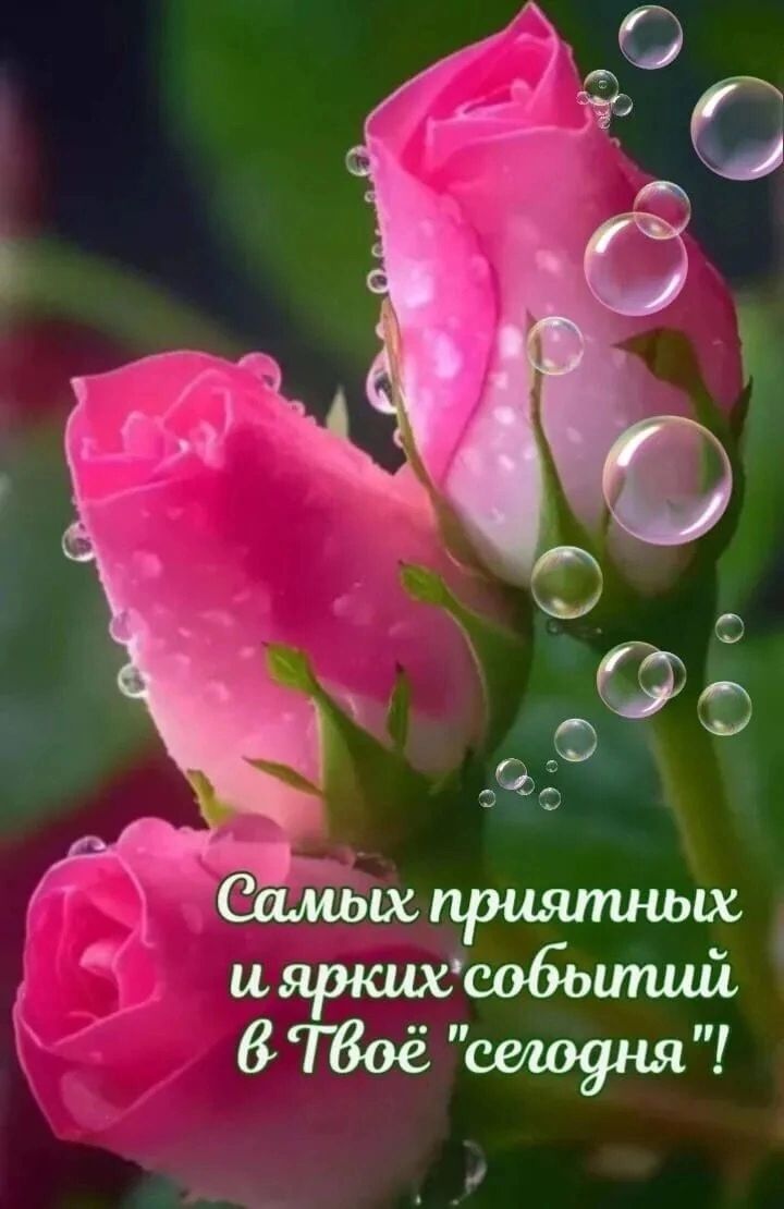 Самых приятных и ярких событий в Твое 