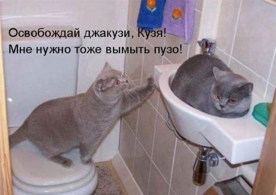 Освобождай джакузи, Кузя! Мне нужно тоже вымыть пузо!