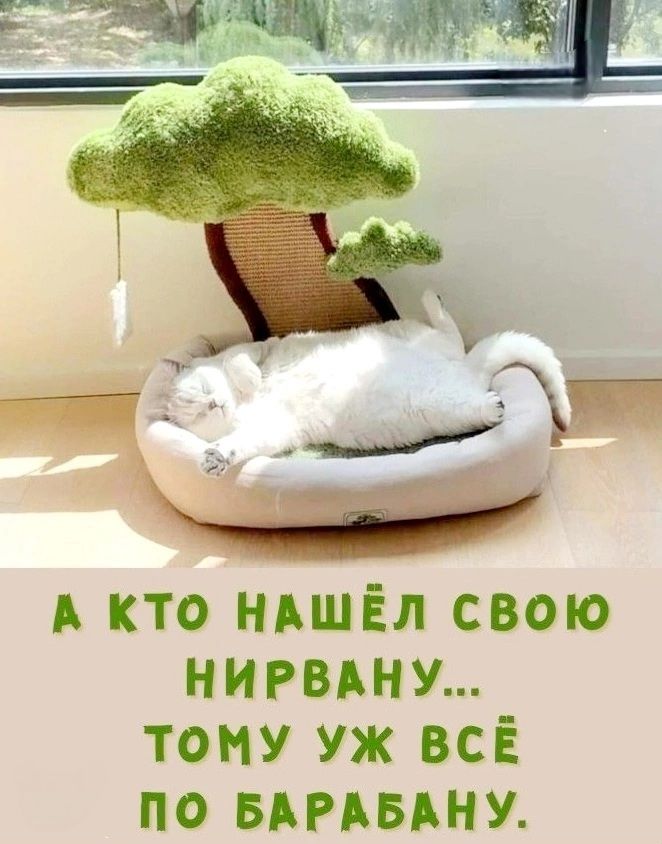 А КТО НАШЁЛ СВОЮ НИРВАНУ... ТОМУ УЖ ВЕСЬ ПО БАРАБАНУ.
