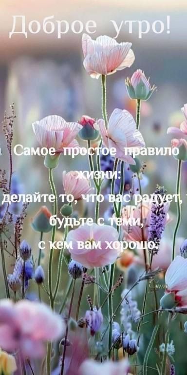 Доброе утро!

Самое простое правило жизни:
делайте то, что вас радует, и
будьте с теми,
с кем вам хорошо.