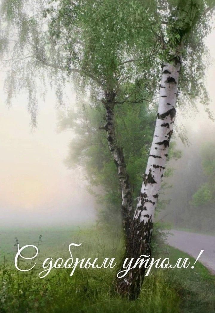 С добрым утром!