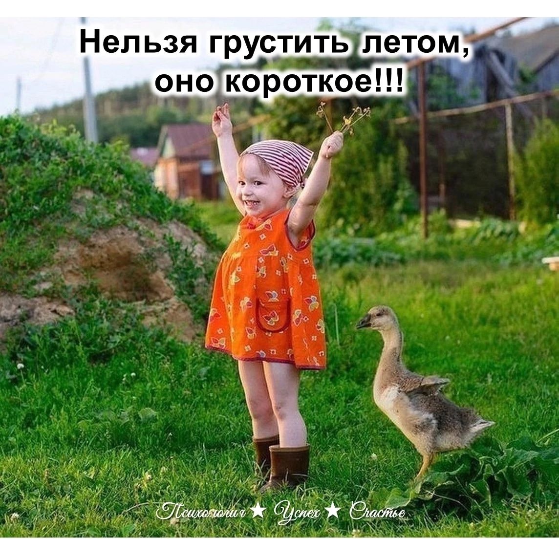 Нельзя грустить летом, оно короткое!!!