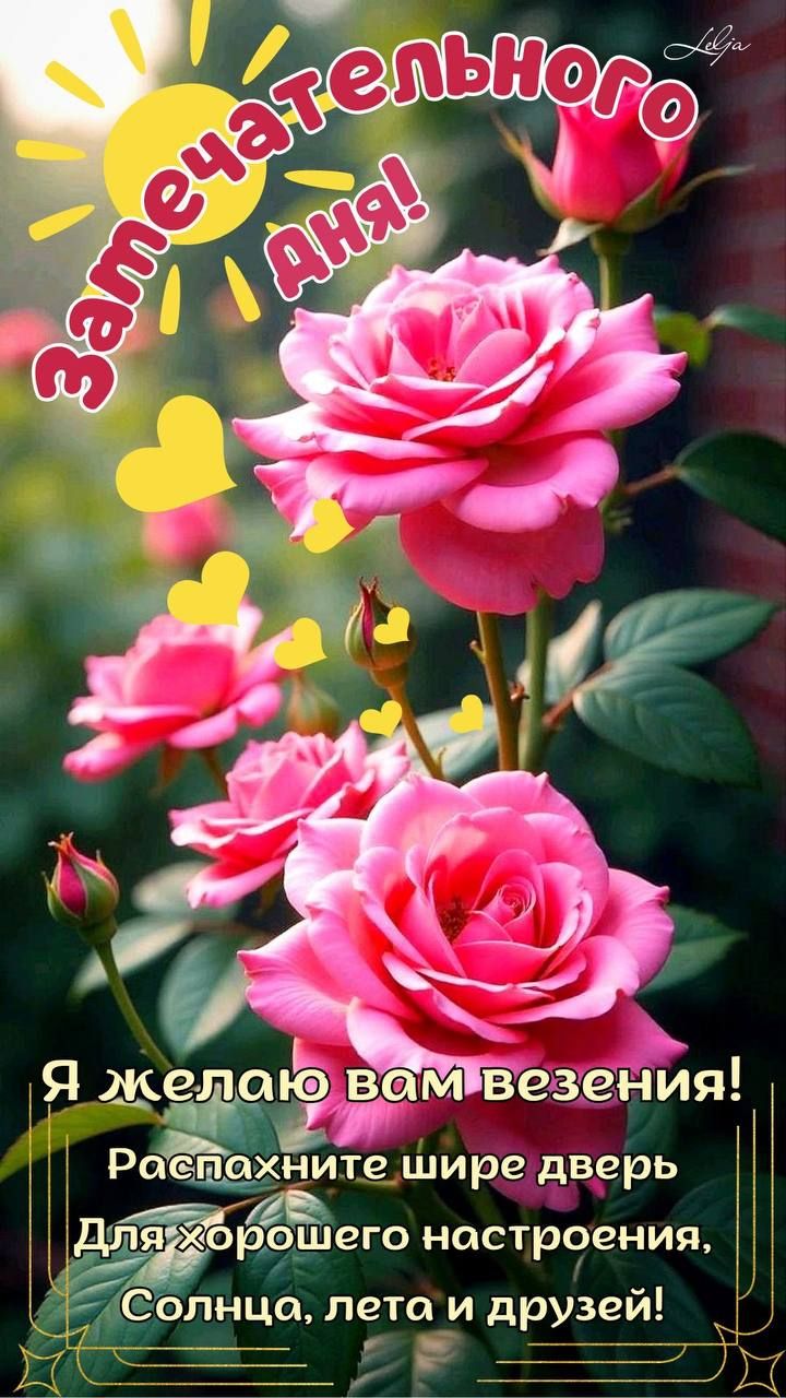 Замечательного Дня!
Я желаю вам везения!
Распахните шире двери
Для хорошего настроения,
Солнца, лета и друзей!