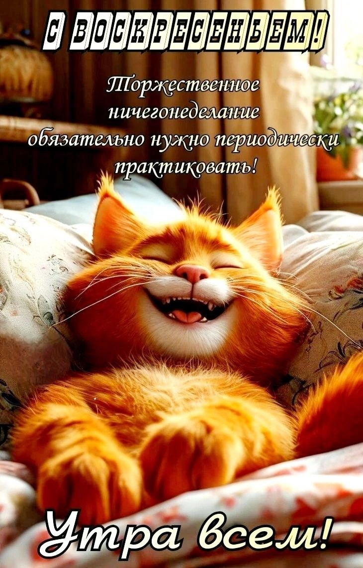 С ВОСКРЕСЕНЬЕМ! Торжественное ничегонеделание обязательно нужно периодически практиковать! Утра всем!