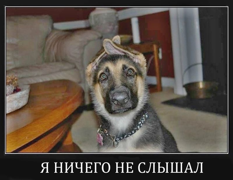 Я ничего не слышал