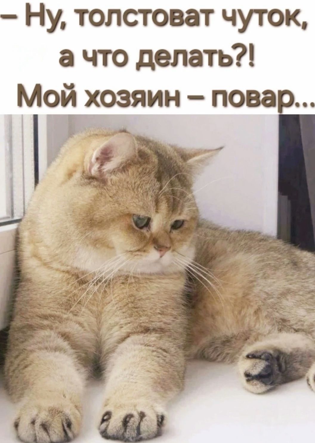 – Ну, толстоват чуток, а что делать?!
Мой хозяин – повар...