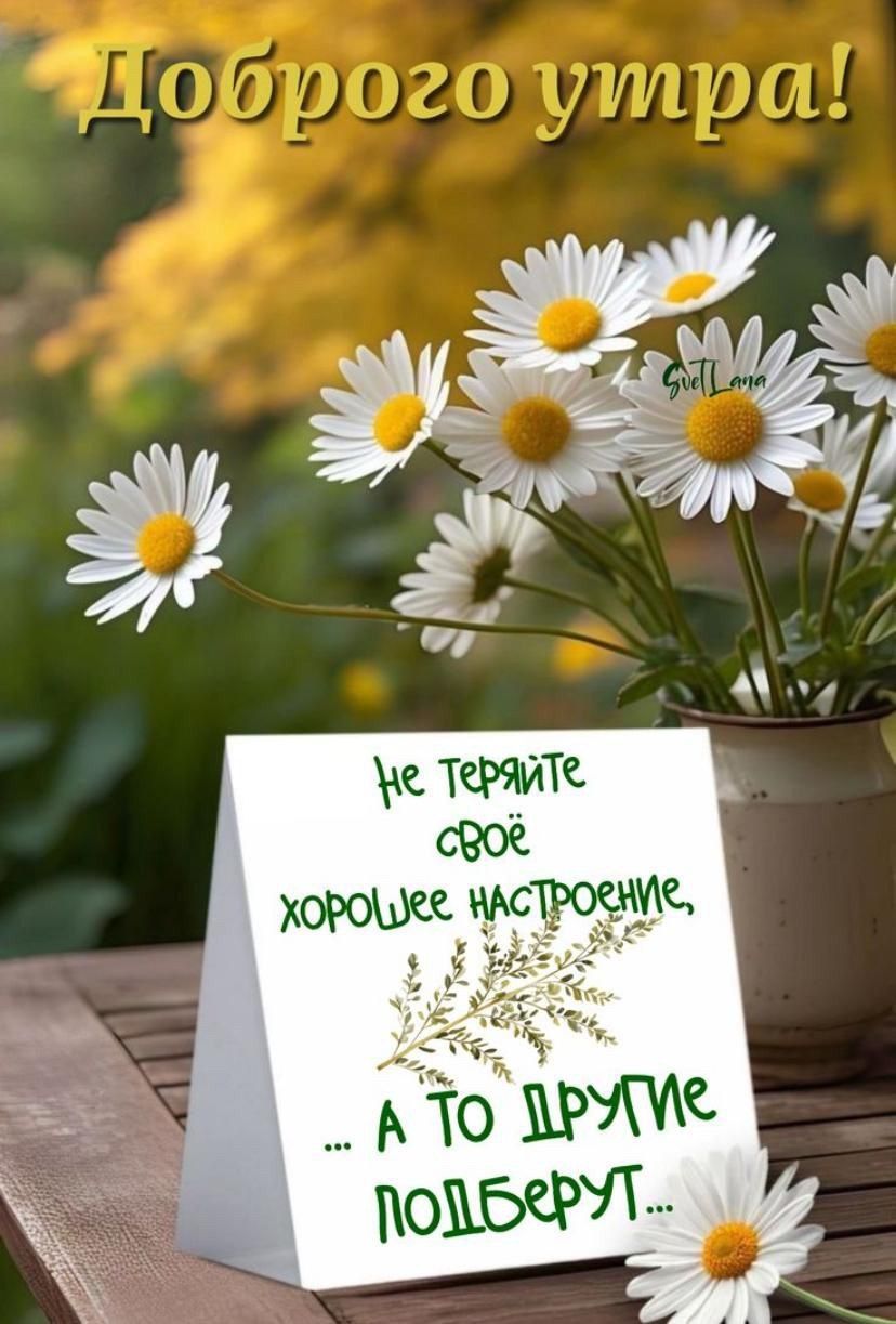 Доброе утро!
Не теряйте своё хорошее настроение,
... а то другие подберут...