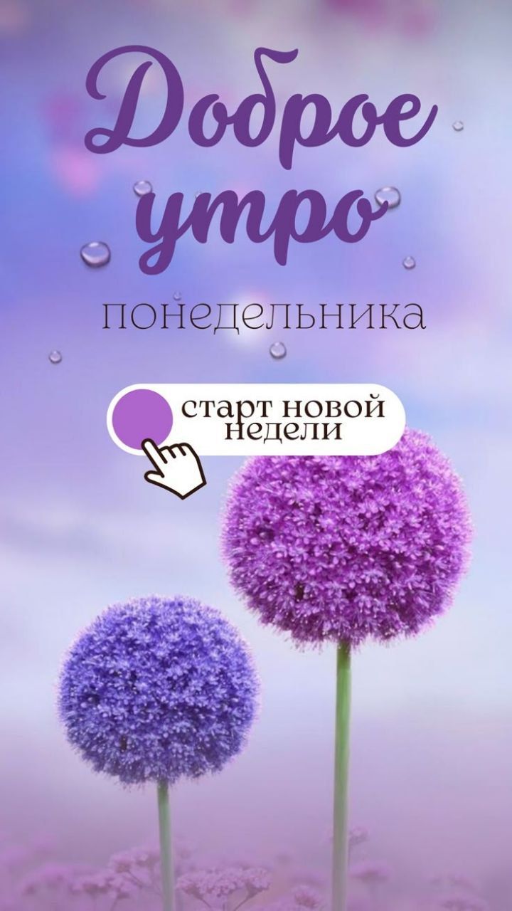 Доброе утро понедельника
старт новой недели