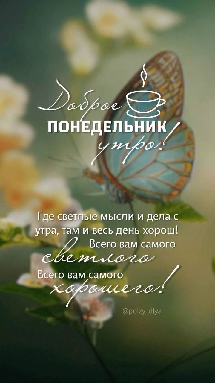 Доброе понедельник утро!
Где светлые мысли и дела с утра, там и весь день хорош! Всего вам самого светлого. Всего вам самого хорошего!