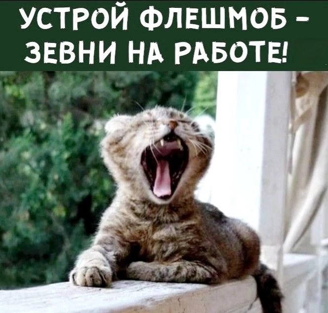 УСТРОЙ ФЛЕШМОБ – ЗЕВНИ НА РАБОТЕ!