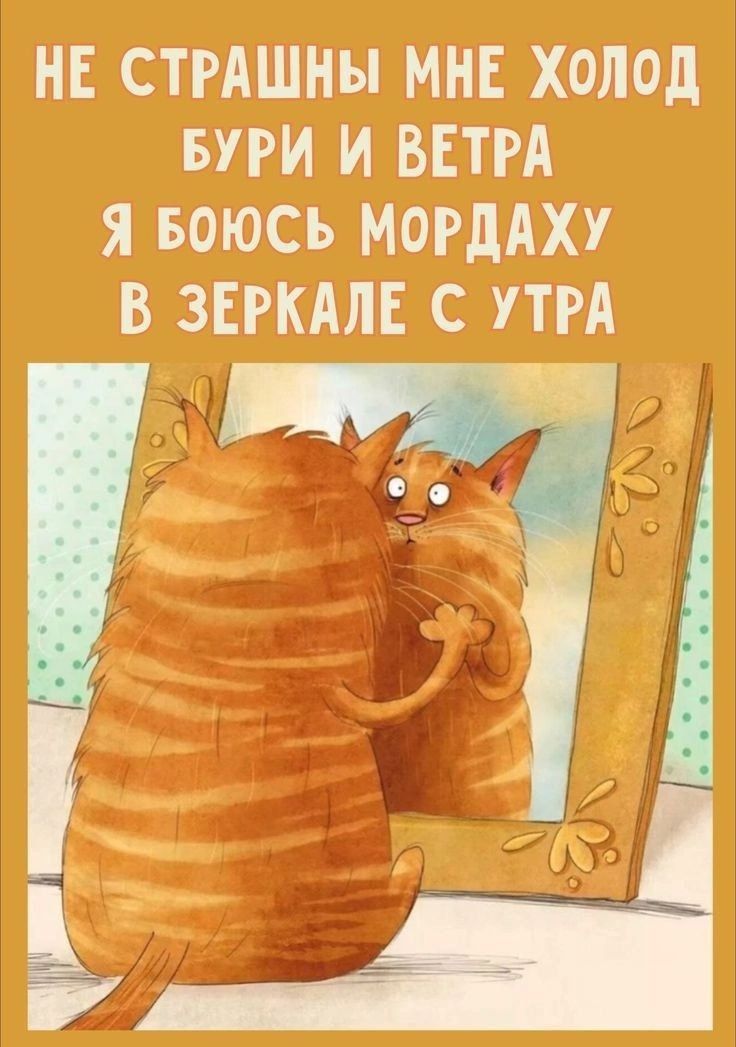 НЕ СТРАШНЫ МНЕ ХОЛОД БУРИ И ВЕТРА Я БОЮСЬ МОРДахУ В ЗЕРКАЛЕ С УТРА
