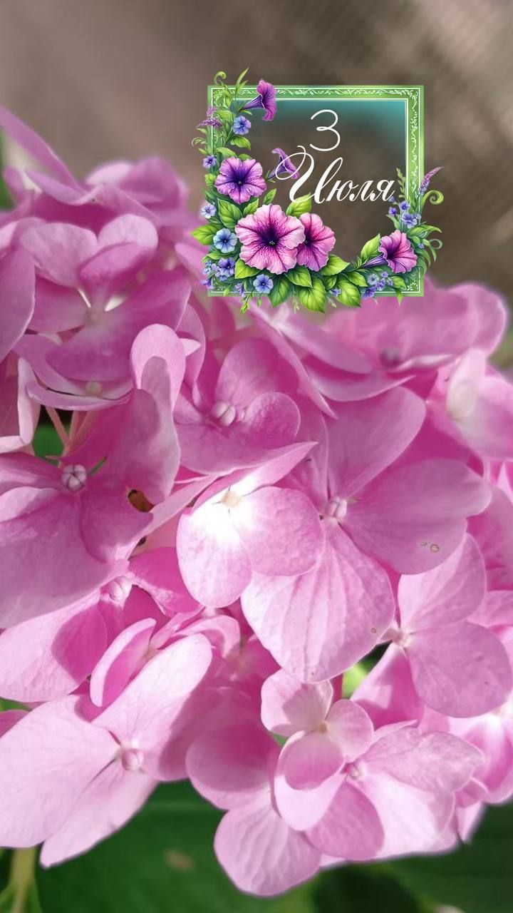 З Цькля.