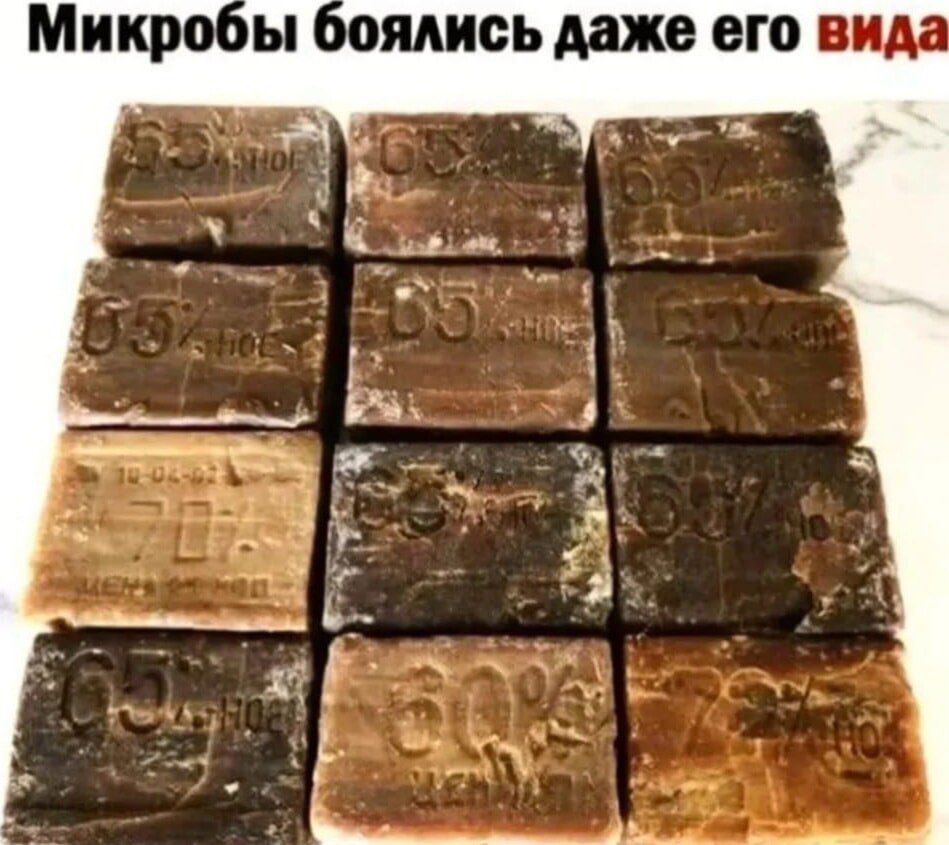 Микробы боялись даже его вида