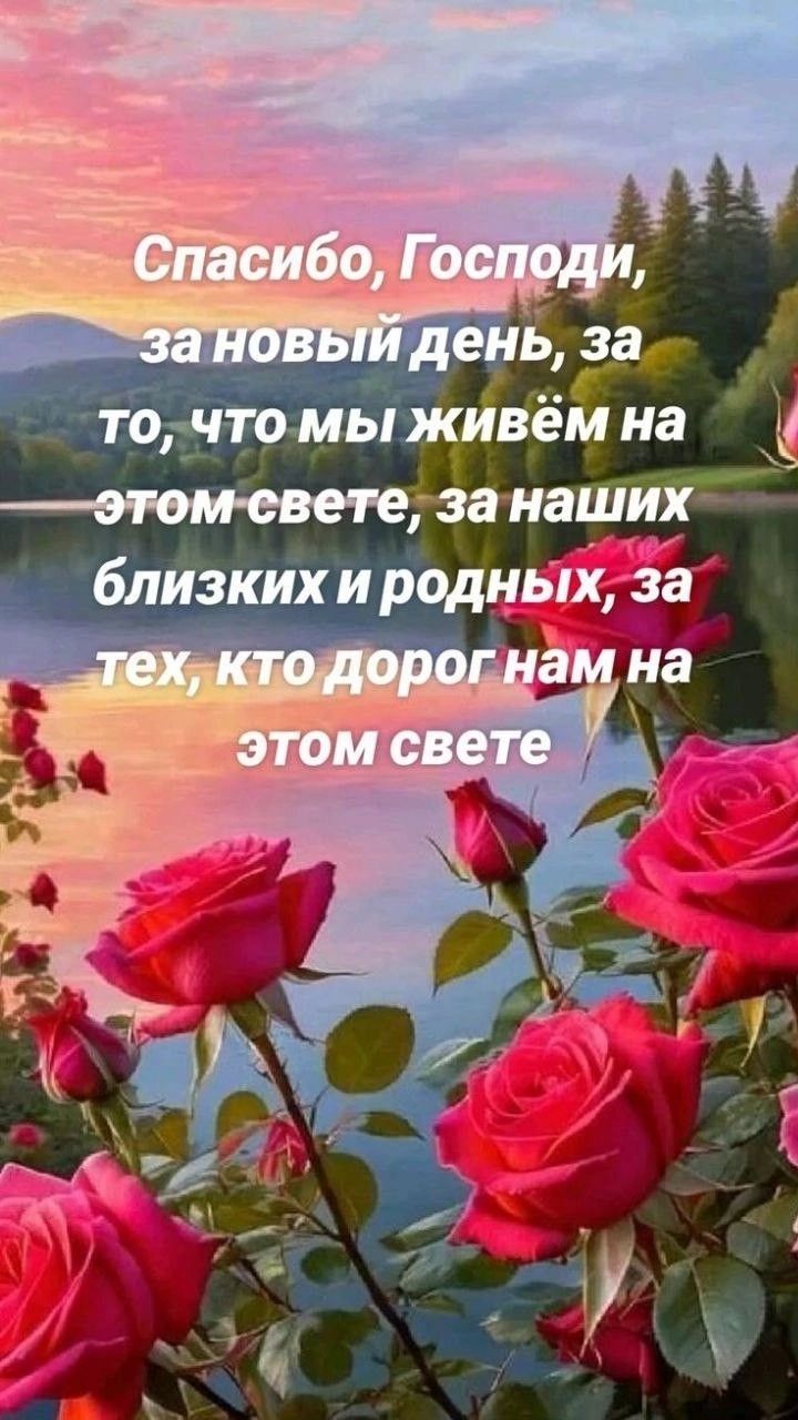 Спасибо, Господи, за новый день, за то, что мы живём на этом свете, за наших близких и родных, за тех, кто дорог нам на этом свете
