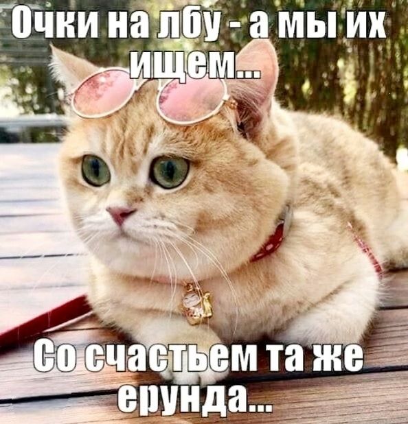 Очки на лбу - а мы их ищем... Со счастьем та же ерунда...