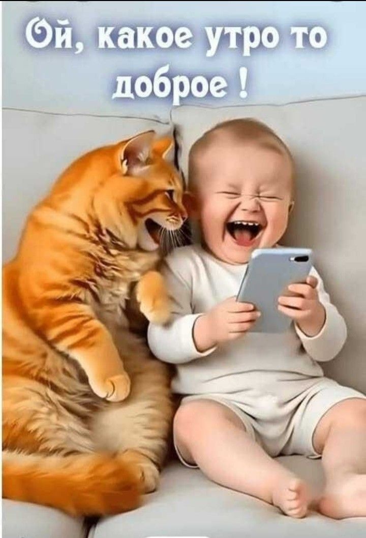 Ой, какое утро то доброе !