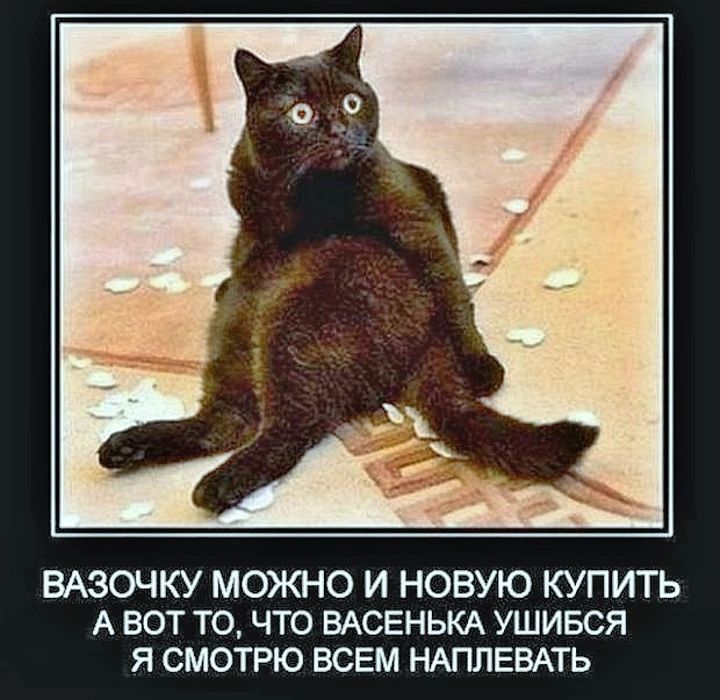ВАЗОЧКУ МОЖНО И НОВУЮ КУПИТЬ А ВОТ ТО, ЧТО ВАСЕНЬКА УШИБСЯ Я СМОТРЮ ВСЕМ НАПЛЕВАТЬ