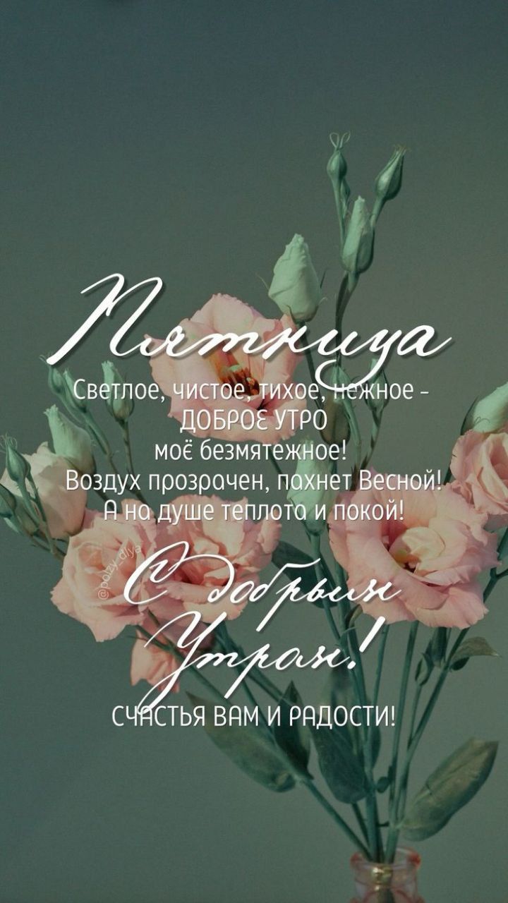 Пятница
Светлое, чистое, тихое, нежное – ДОБРОЕ УТРО моё безмятежное! Воздух прозрачен, пахнет Весной! А на душе тепла и покой! С добрым Утром! Счастья ВАМ и радости!
