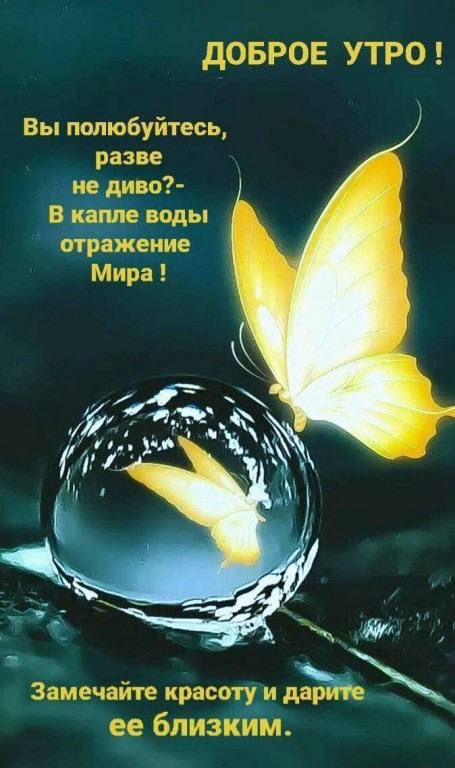 ДОБРОЕ УТРО !
Вы полюбитесь, разве не диво?- В капле воды отражение Мира !
Замечайте красоту и дарите ее близким.