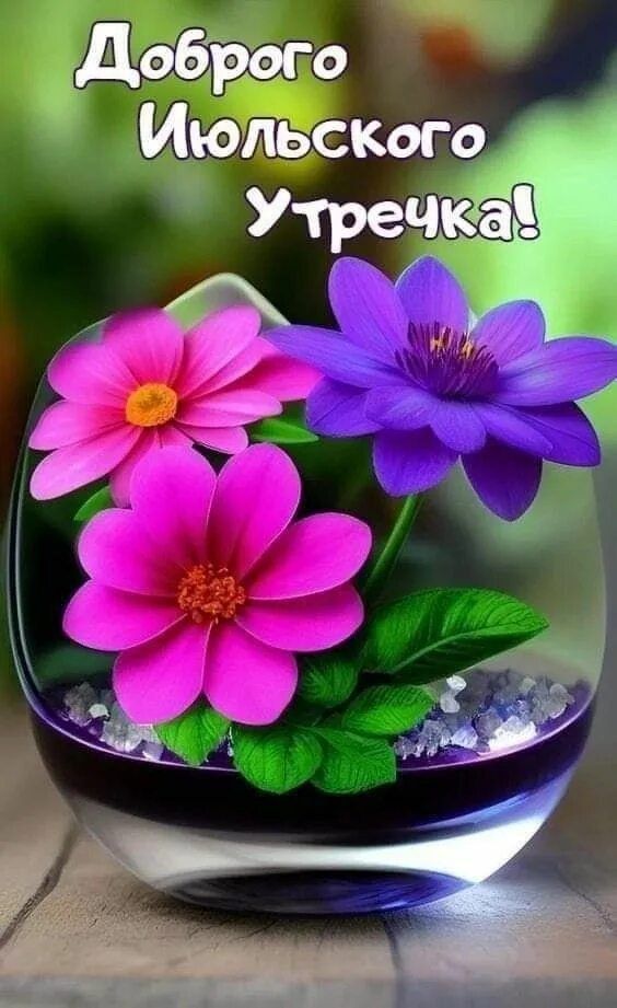 Доброего Июльского Утрешка!