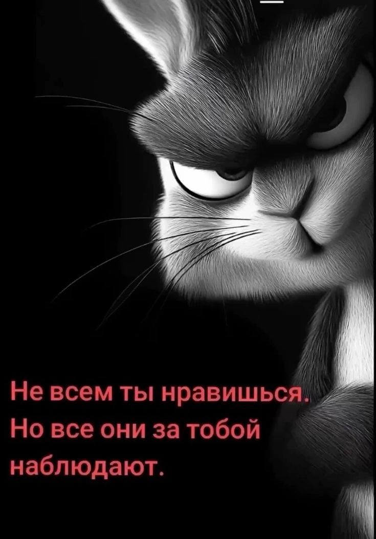 Не всем ты нравишься. Но все они за тобой наблюдают.
