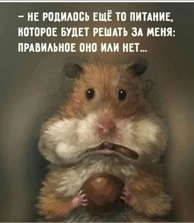 – НЕ РОДИЛОСЬ ЕЩЁ ТО ПИТАНИЕ, КОТОРОЕ БУДЕТ РЕШАТЬ ЗА МЕНЯ: ПРАВИЛЬНОЕ ОНО ИЛИ НЕТ...