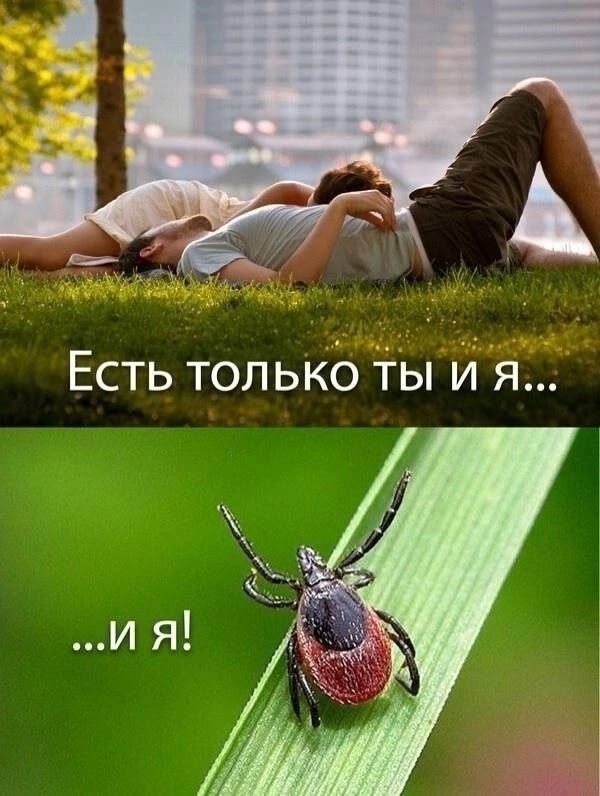Есть только ты и я... ...и я!