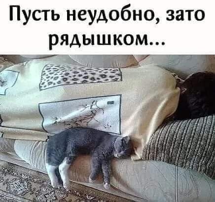 Пусть неудобно, зато рядышком...
