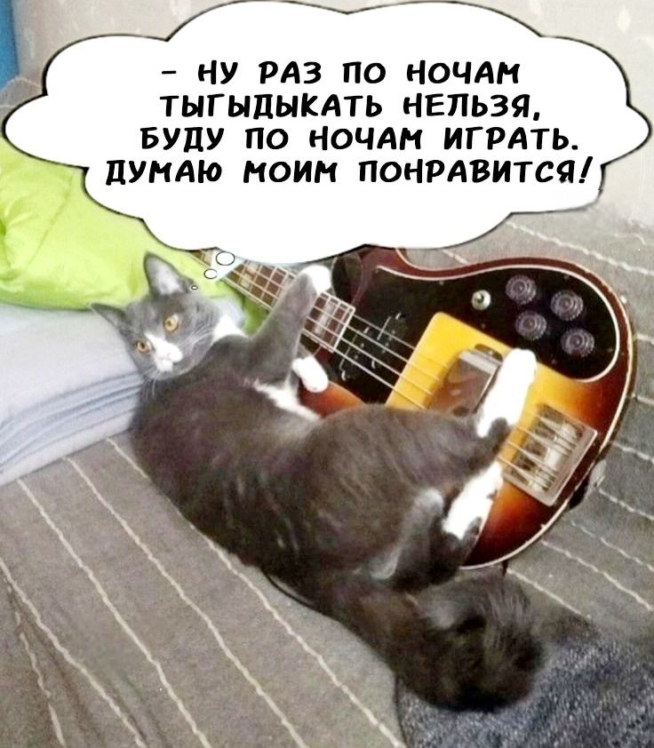 – Ну раз по ночам тыгыдыкать нельзя, буду по ночам играть. Думаю моим понравится!