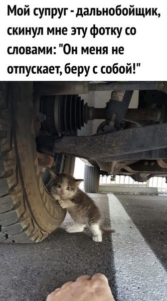 Мой супруг - дальнобойщик, скинул мне эту фотку со словами: 