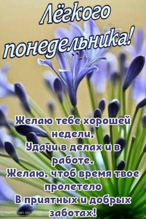 Лёгкого понедельника! Желаю тебе хорошей недели, Удачи в делах и в работе. Желаю, чтобы время твое пролетело В приятных и добрых заботах!