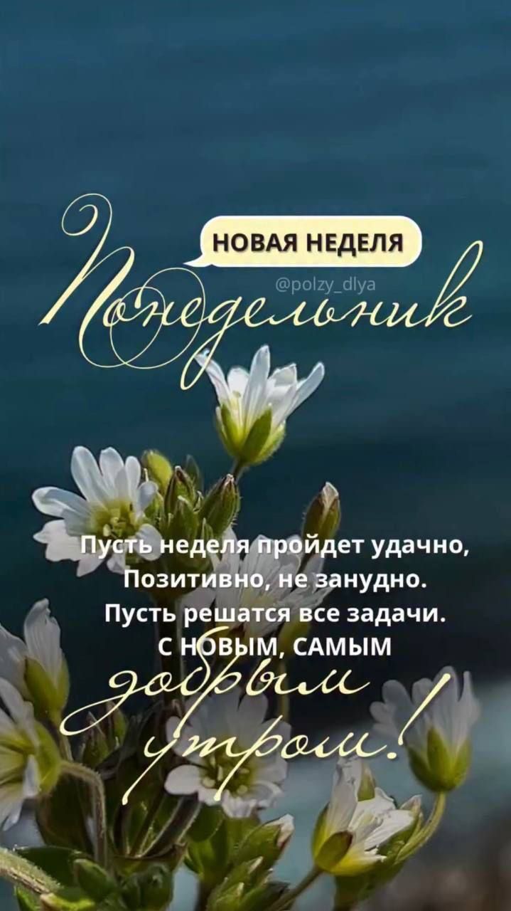 НОВАЯ НЕДЕЛЯ
Понедельник
Пусть неделя пройдет удачно, Позитивно, не занудно. Пусть решатся все задачи. с НОВЫМ, САМЫМ добрым утром!