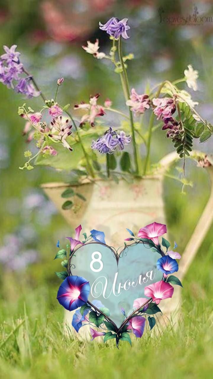 8 Июля