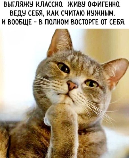 ВЫГЛЯЖУ КЛАССНО. ЖИВУ ОФИГЕННО. ВЕДУ СЕБЯ, КАК СЧИТАЮ НУЖНЫМ. И ВООБЩЕ - В ПОЛНОМ ВОСТОРГЕ ОТ СЕБЯ.