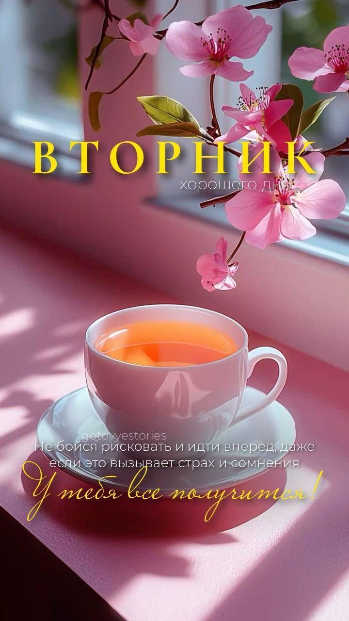 ВТОРНИК хорошего дня
Не бойся рисковать и идти вперед, даже если это вызывает страх и сомнения.
У тебя все получится!