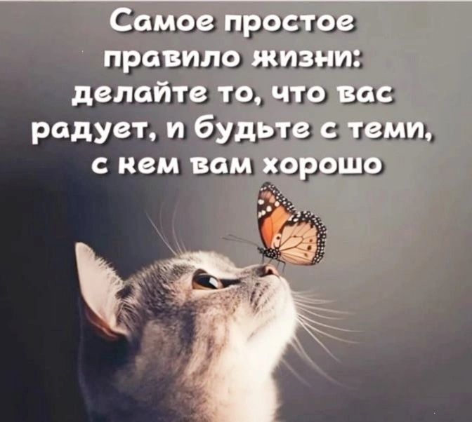 Самое простое правило жизни: делайте то, что вас радует, и будьте с теми, с кем вам хорошо.