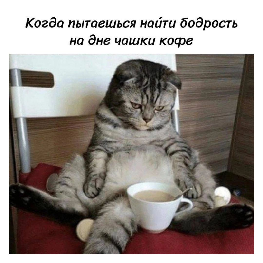 Когда пытаешься найти бодрость на дне чашки кофе