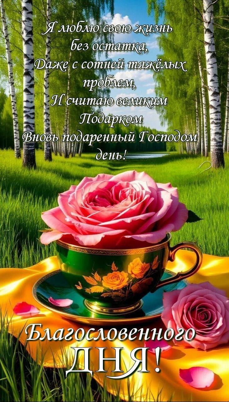 Я люблю свою жизнь без остатка,
Даже с сотней тяжёлых проблем,
И считаю великим Подарком
Вновь подаренный Господом день!

Благословенного ДНЯ!
