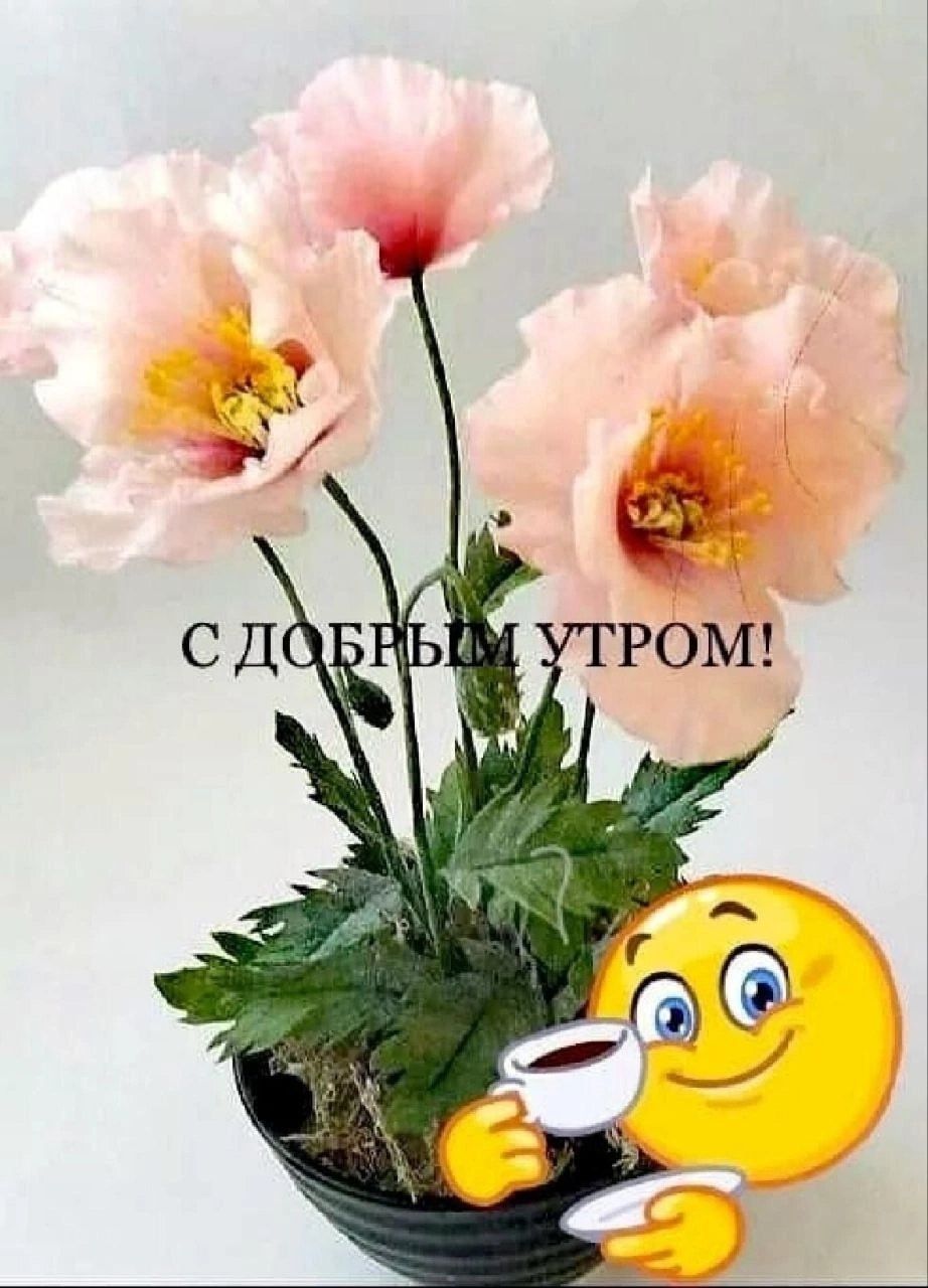 С ДОБРЫМ УТРОМ!