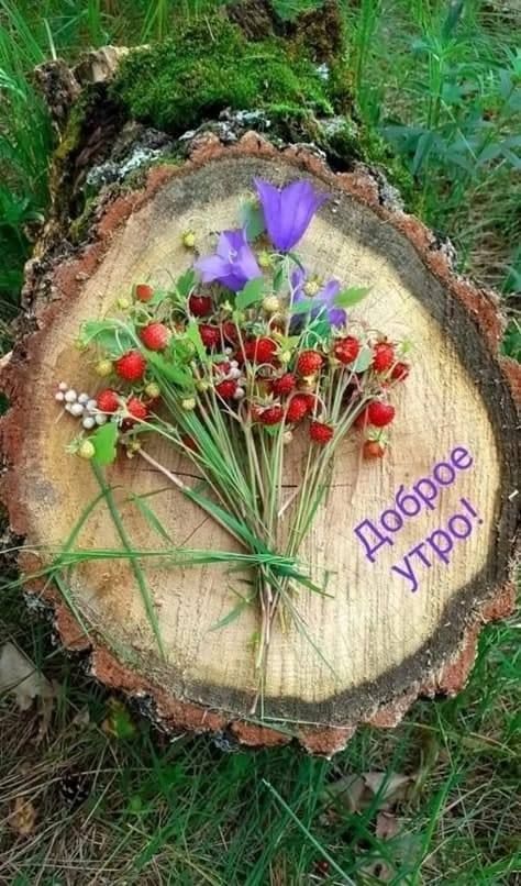 Доброе утро!