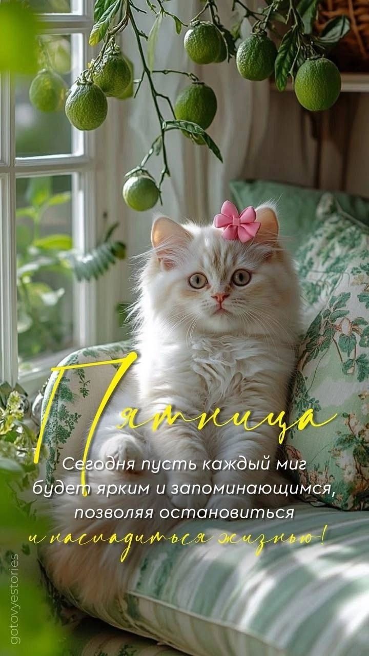 Пятница! Сегодня пусть каждый миг будет ярким и запоминающимся, позволяя остановиться и наслаждаться жизнью!