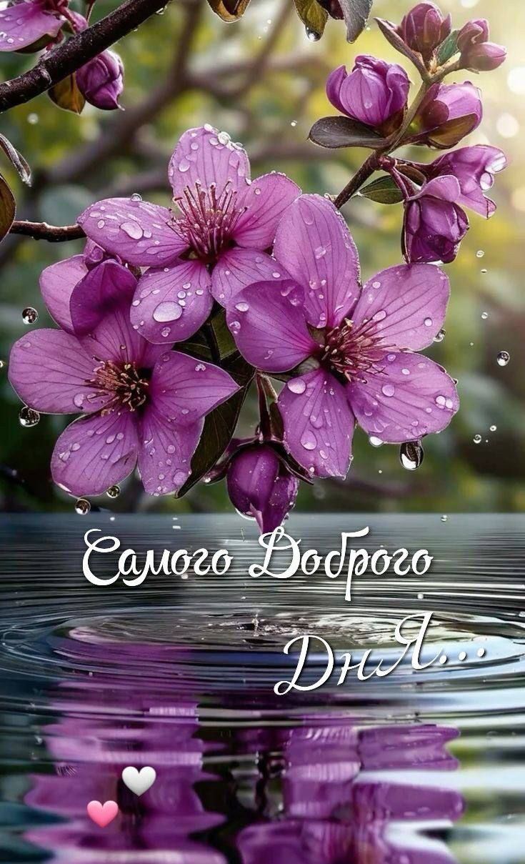 Самого Доброго Дня...