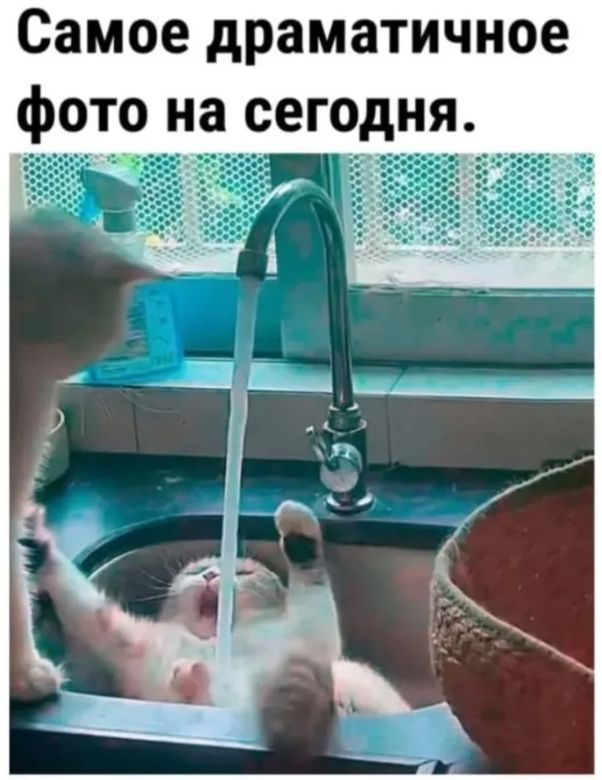 Самое драматичное фото на сегодня.