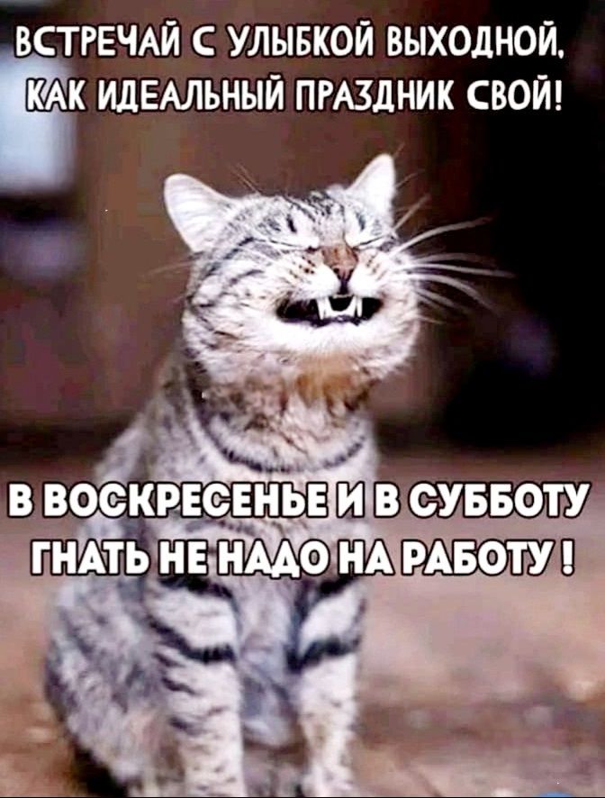 ВСТРЕЧАЙ С УЛЫБКой ВЫХОДНОЙ, КАК ИДЕАЛЬНЫЙ ПРАЗДНИК СВОЙ! В ВОСКРЕСЕНЬЕ И В СУББОТУ ГНАТЬ НЕ НАДО НА РАБОТУ !