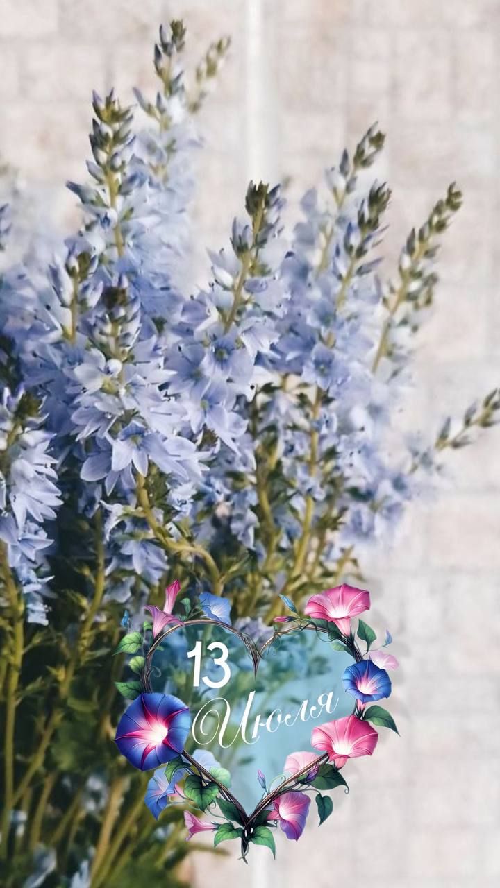 13 Июля