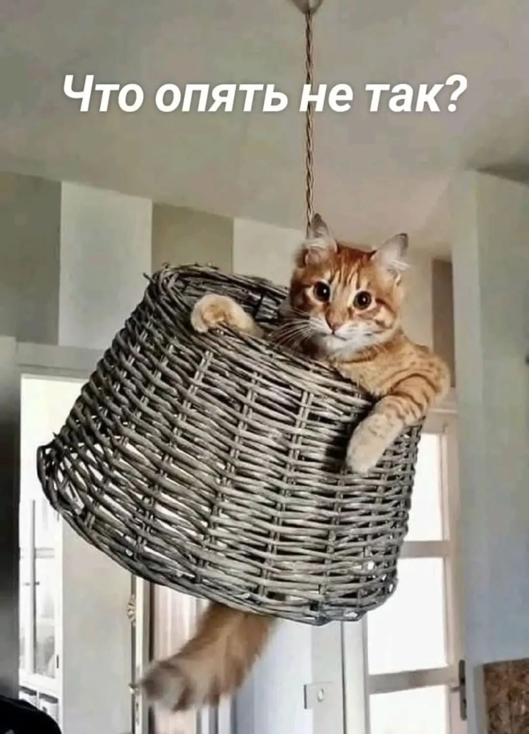 Что опять не так?